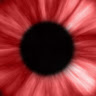 4lm4x's Avatar