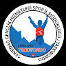 Taekwondo Kılıç