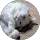 Community member