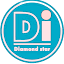 DIAMOND STAR NETWORK COMPANY LIMITED