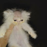 Juliogamerst member profile picture