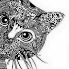 Uživatel: NATALIA PEDREROS