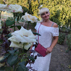 Uživatel: Ольга Прибыткова