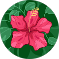 Avatar de Nathanaelle.