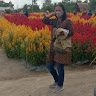 Created by