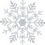 snowflakes 9