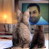 Vince “Vegas” Weeding