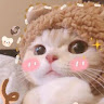 楊湘菱 avatar