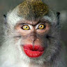 hanya yotup 