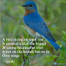 abhi.mb