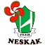 Peer Neskak