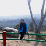 Created by