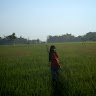Created by