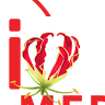 Vaakai Media
