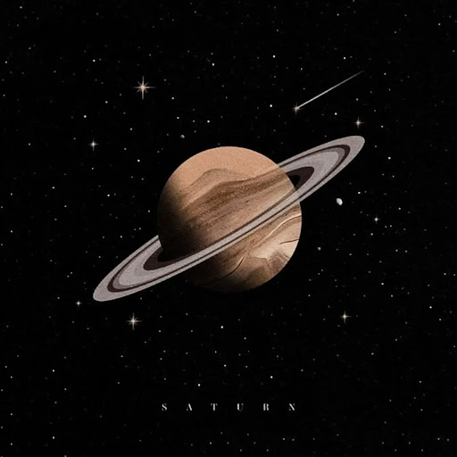 Prof Dr Walid Ellakany ا.د وليد اسماعيل اللقانى - صورة 8