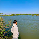 Kullanıcı: Tv Tong98