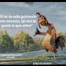 Gustambo Calzoski