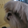 user_4z5apsjkmtlj1adp member profile picture