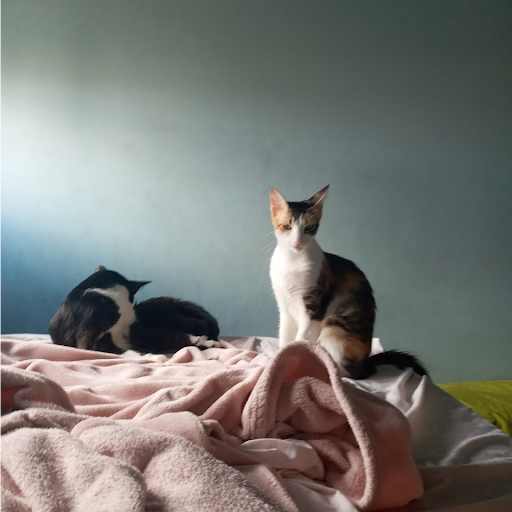 Fran
