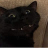 conmemay's Avatar