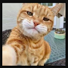 Jaja “Mr.” Kcat