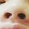 圾垃