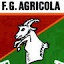 FG Agricola Billigheim (Owner)