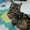 ilham fadhila