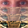 Acg8oclpvffn 0qpl ffd w6 jm721wo7pnej7cubaix24qsc8frjej2=s96 c
