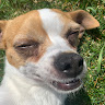 View user_zdjuw2dxwgr6zdhl's Profile