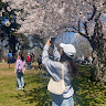 jiayuntravels profile banner