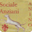 anziani canino