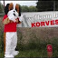 Korfbalvereniging Korvesta (Pemilik)