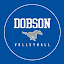 Dobson Volleyball (Owner)