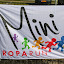 Mini-Roparun Zeeuws-Vlaanderen (Owner)