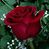Created by
