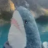 user_q9l3qxhxcv7z2r2q member profile picture