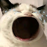nurfirani meow
