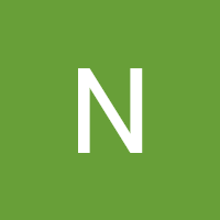 nayyan2241