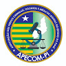 Foto do escritor: APECOM PIAUÍ