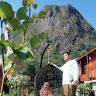 Arief ahmad
