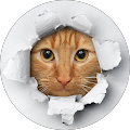 Avatar de jean-luc.e