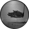 Host profile picture