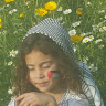 Created by