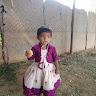 N Dinesh