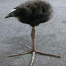 user_3mwohhcnit9jqy0i member profile picture