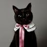 Avatar de Rafaela P