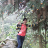 Created by