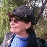 Writer: Lyn Richards