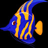 ANGLE'S AQUARIUM BENGALURU